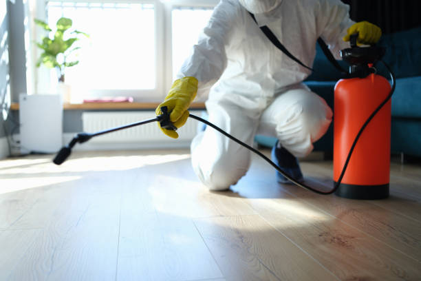 Reliable Sewage Cleanup contractor in Lacey, WA by Trauma Clean Pros